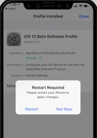 Install iOS 12 Beta 1 on Latest iPhone/iPad Devices