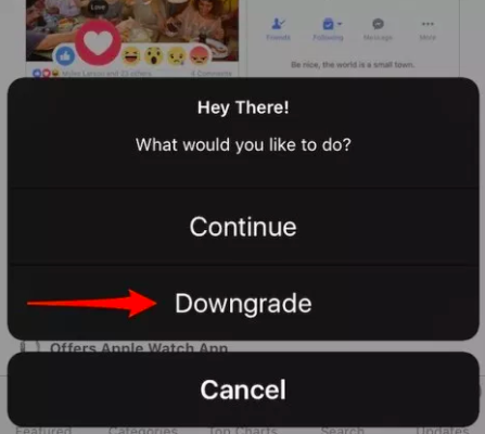 Downgrade iOS Apps: AppAdmin iOS 11 Update