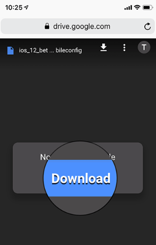 Download iOS Beta Profile