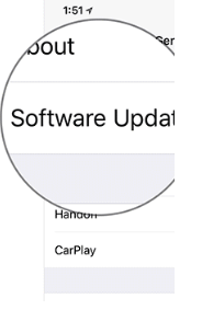 Hit the Software Update option