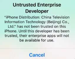 Untrusted Enterprise Developer Error Fix