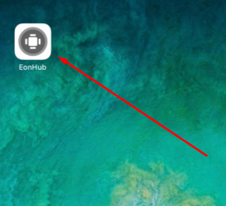Installed EonHub App on Home Screen on iOS